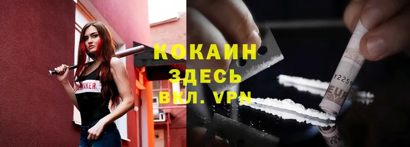 дарк нет наркотические препараты  Томск  Cocaine Эквадор 